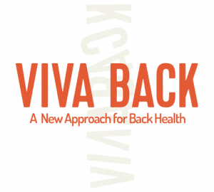 Das Bild zeigt das VivaVack Logo. VivavBack ist in orange und Großbuchstaben geschrieben, auf einen weißen Hintergrund.